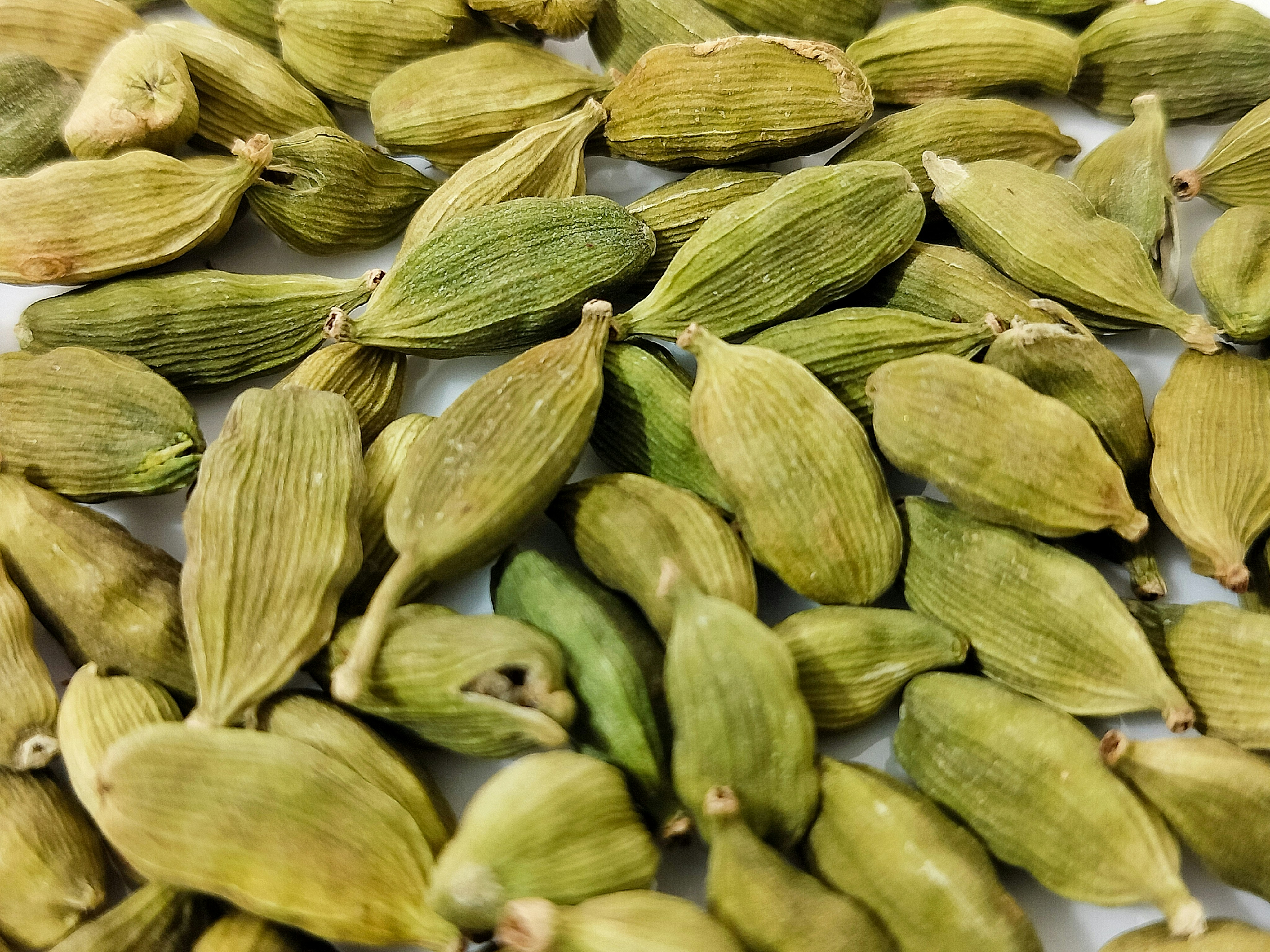 Cardamom Pods